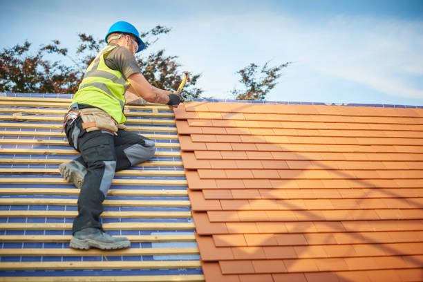 Best Roof Moss and Algae Removal  in Rusk, TX